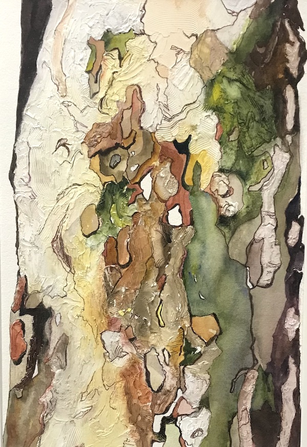 <i>It’s All About the Bark and Texture</i> – Ode to the Sycamore #3. Mixed media on paper. Framed, 21x15.