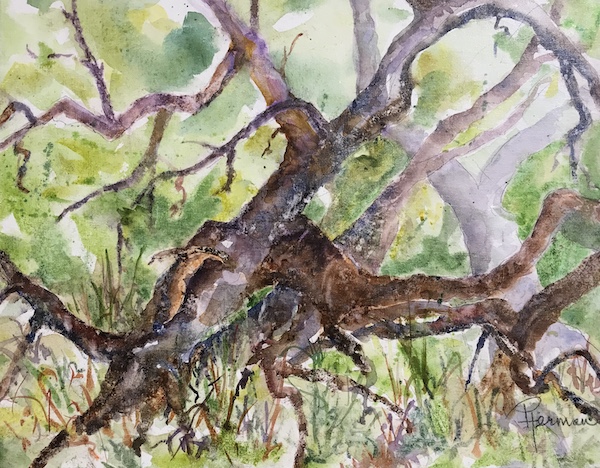 <i>Gnarly Apple Tree</i>. Watercolor on canvas. Framed, 12x15.